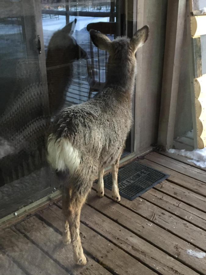 Rocky Mountain Lodge デュボア エクステリア 写真